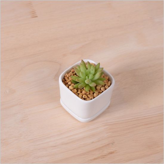Pot de fleurs à base de porcelaine blanche en céramique de mode de personnalité