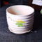 Feuille Patten Design Plant Pots De Fleurs Soucoupes Attachées Pots En Céramique