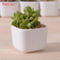 Décoration de bureau créative Mini pot de fleur en céramique blanche