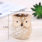 Artisanat artisanal hibou Design petit pot de plantes succulentes en céramique