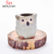 Design personnalisé petit pot de fleur hibou en céramique