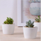 Mini pots de fleurs décoratifs en céramique blanche ronde