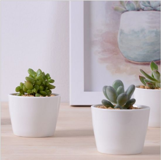 Mini pots de fleurs décoratifs en céramique blanche ronde