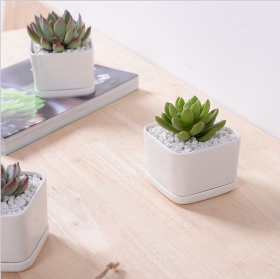 Pot de fleur carré blanc contenant une base