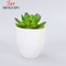 Pot de fleurs succulentes rondes en céramique blanche