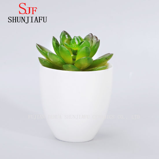 Pot de fleurs succulentes rondes en céramique blanche