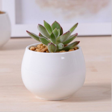 Pot de fleurs en céramique blanc carré miniature créatif