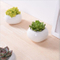 Pot de fleurs en céramique blanc carré miniature créatif