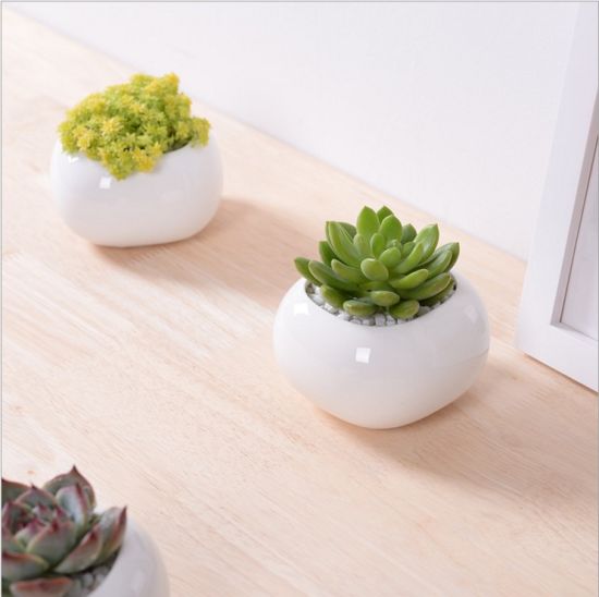 Pot de fleurs en céramique blanc carré miniature créatif