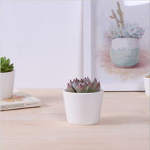Grand mini pot de fleurs rond en céramique