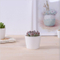 Grand mini pot de fleurs rond en céramique