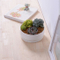 Base circulaire avec grand pot de fleurs en céramique blanche