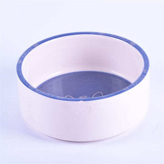 fond de bol bleu impression os photos bol en céramique pour chien en céramique