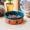 Bol pour chien en céramique circulaire
