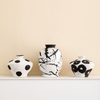 Où la Terre rencontre le vase en céramique artisanal de l'art