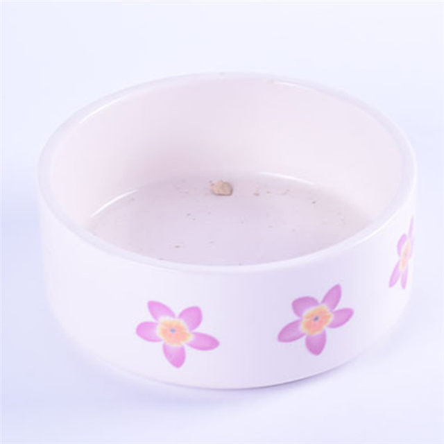 Bol pour chien en céramique Coco Exclusive Use Pink Ceramic Pet Feeder