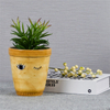 Accueil Balcon Décoration De Table Jardinière Pot Expression Faciale En Céramique Plante Pot De Fleurs