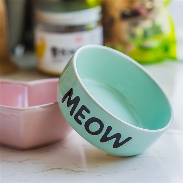avec empreintes de pas de chien impression circulaire imprimée en céramique verte alimentation pour chien bleu et orangécéramique bol pour chien en céramique verte