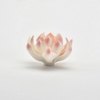 Personnalisé accepter décor à la maison personnalisé fleur design porte-encens porte-encens en céramique