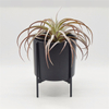 Support en fer noir Support à quatre pattes avec pot de jardinière en céramique noire