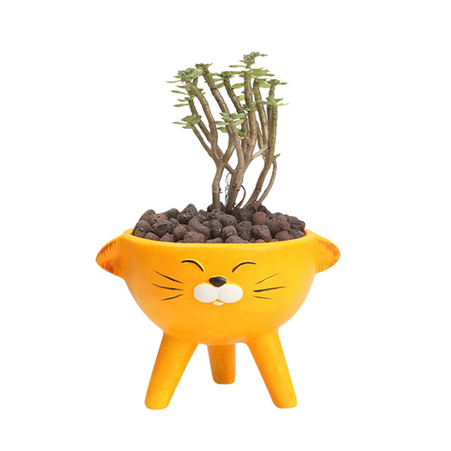 Pot de fleurs en céramique Expression Pot de fleurs en céramique pour plantes de table à trois pattes